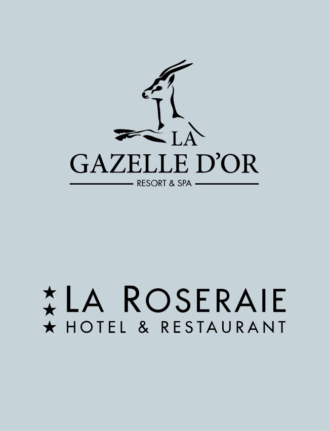 creation-de-logo-realise-par-agence-de-communication-argraphic-E