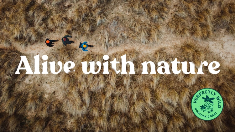 identité visuelle de Norfolk