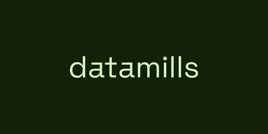 identité visuelle de Datamills