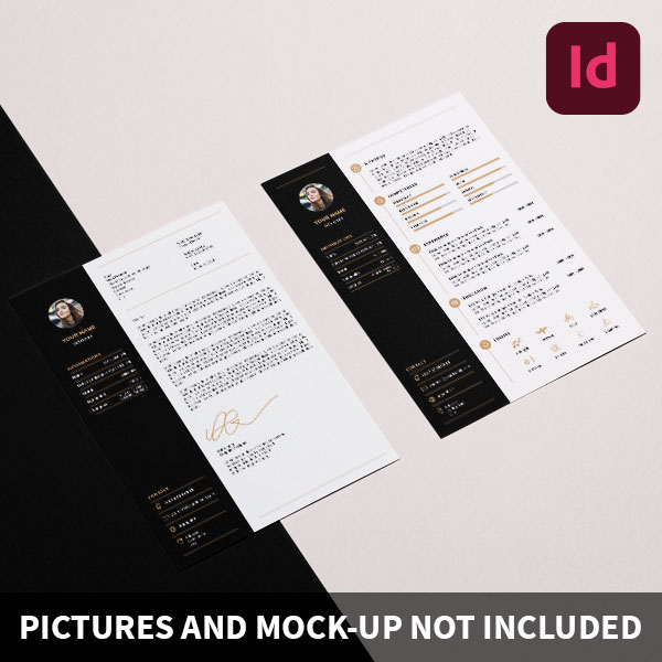 Template CV Indesign gratuit