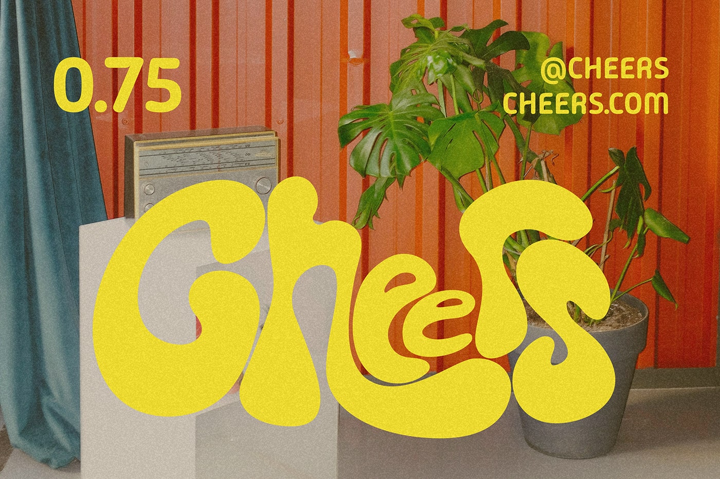 Packagings Cheers Beer