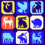 identité visuelle RSPCA - blog graphisme