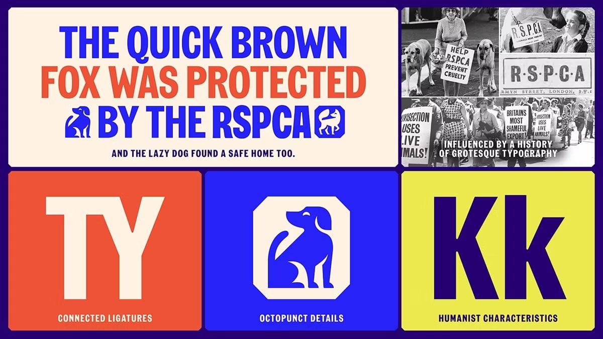 identité visuelle RSPCA - blog graphisme