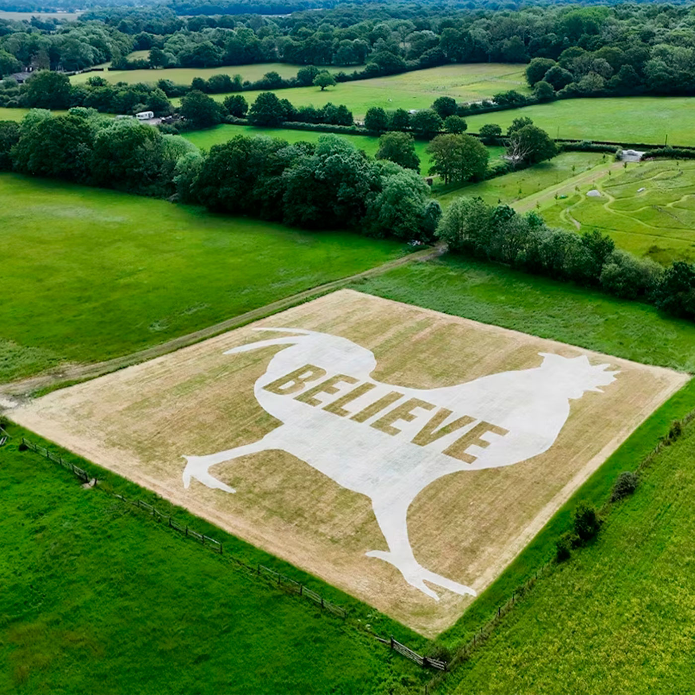 Campagne KFC Believe in Chicken