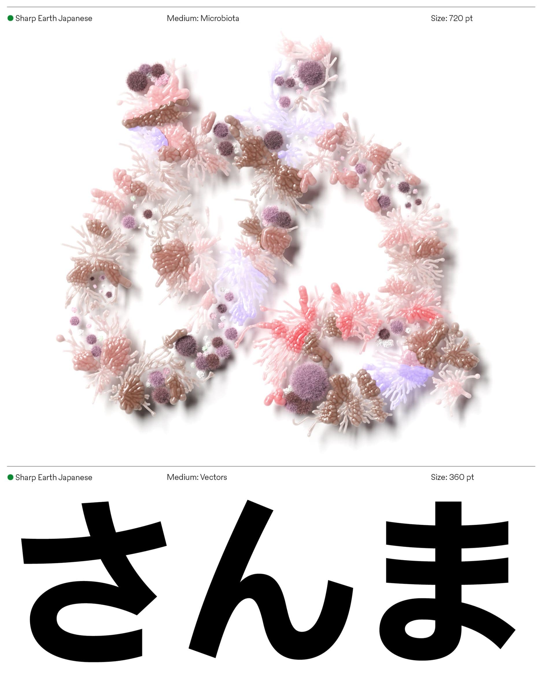 Typographies de la rentrée 2024