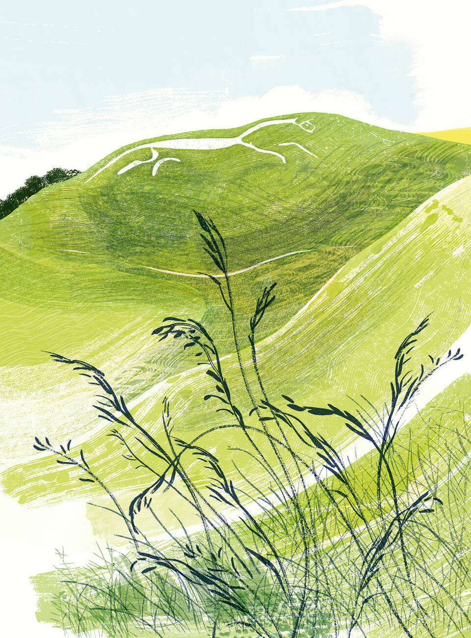 V&A Illustration Awards 2024