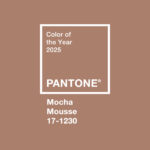 Couleur Pantone 2025