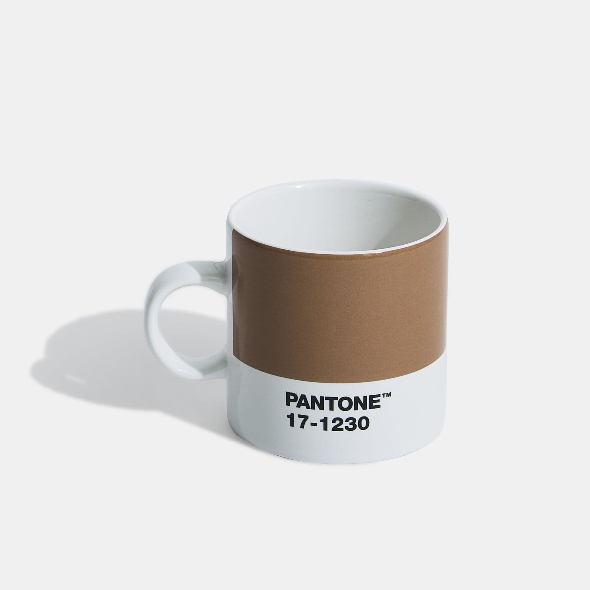 Couleur Pantone 2025