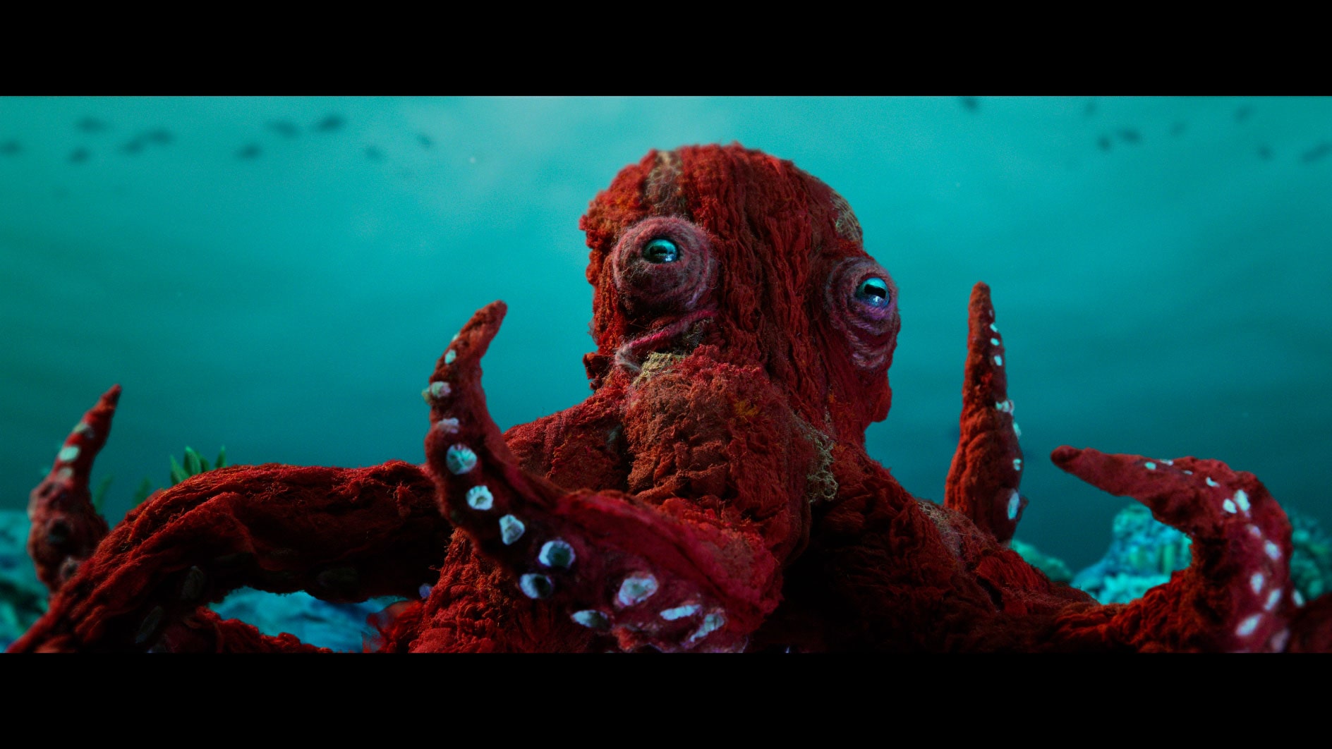Octopus - Documentaire stop motion - Amazon